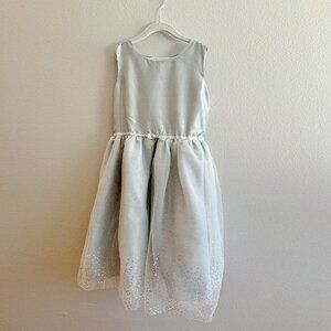 Gymboree silver sparkle tulle girl dress